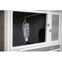 new