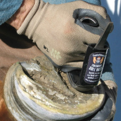 Bar & Sole Rasps Pro