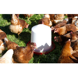 Abreuvoir en plastique Kerbl Hobbyfarming Blanc / rouge Abreuvoir en plastique Kerbl Hobbyfarming Blanc / rouge