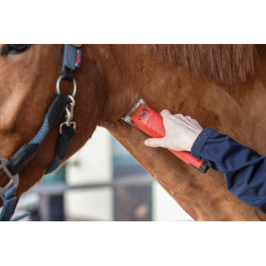 Tondeuse sur batterie FAV5 CL Horse Aesculap Tondeuse sur batterie FAV5 CL Horse Aesculap