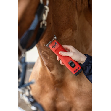 Tondeuse sur batterie FAV5 CL Horse Aesculap Tondeuse sur batterie FAV5 CL Horse Aesculap