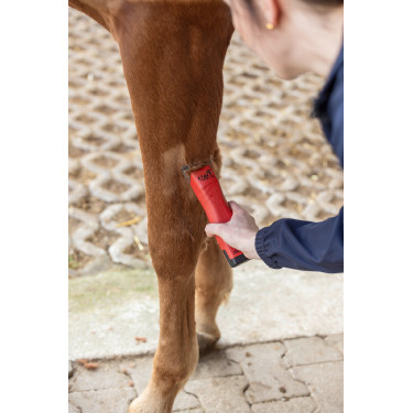 Tondeuse sur batterie FAV5 CL Horse Aesculap Tondeuse sur batterie FAV5 CL Horse Aesculap
