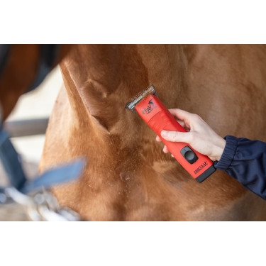 Tondeuse sur batterie FAV5 CL Horse Aesculap Tondeuse sur batterie FAV5 CL Horse Aesculap