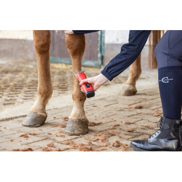 Tondeuse sur batterie FAV5 CL Horse Aesculap Tondeuse sur batterie FAV5 CL Horse Aesculap