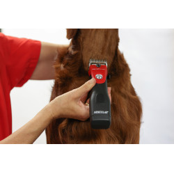 Draadloze tondeuse Favorita CLi Aesculap Rood Draadloze tondeuse Favorita CLi Aesculap Rood