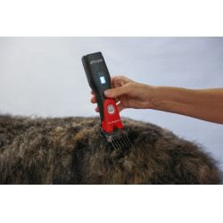 Draadloze tondeuse Favorita CLi Aesculap Rood Draadloze tondeuse Favorita CLi Aesculap Rood