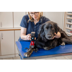 Draadloze tondeuse Favorita CLi Aesculap Rood Draadloze tondeuse Favorita CLi Aesculap Rood