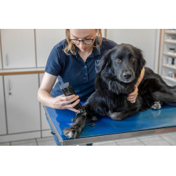 Draadloze tondeuse Favorita CLi Aesculap Rood Draadloze tondeuse Favorita CLi Aesculap Rood