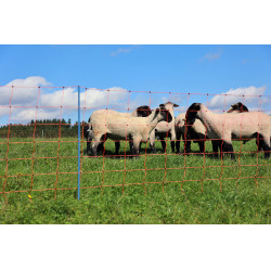 OviNet Premium AKO Oranje