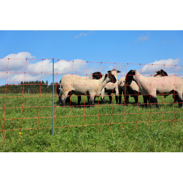 OviNet Premium AKO Oranje