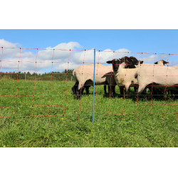 OviNet Premium AKO Oranje