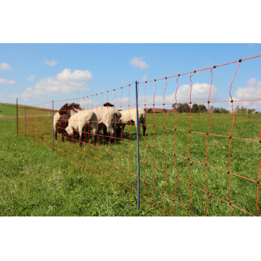 OviNet Premium AKO Oranje