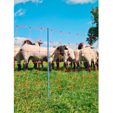 OviNet Premium AKO Oranje