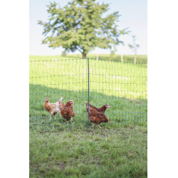 PVC Premium weidepaal AKO Groen PVC Premium weidepaal AKO Groen