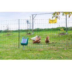 PVC Premium weidepaal AKO Groen PVC Premium weidepaal AKO Groen