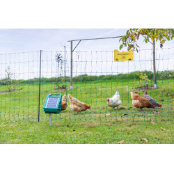 PVC Premium weidepaal AKO Groen PVC Premium weidepaal AKO Groen