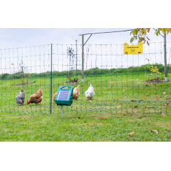 Piquet PVC Premium AKO Vert