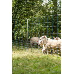 TitanNet 145 AKO Blauw / wit