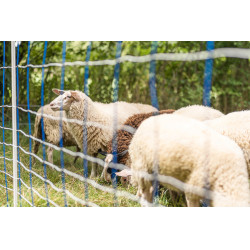 TitanNet 145 AKO Blauw / wit