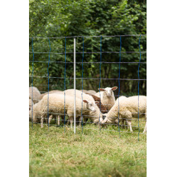 TitanNet 145 AKO Blauw / wit