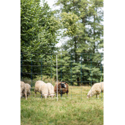 TitanNet 145 AKO Blauw / wit