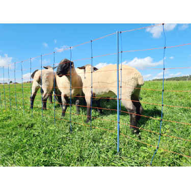 TitanNet Premium AKO Blauw / oranje