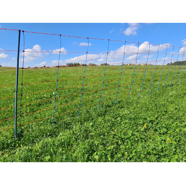 TitanNet Premium AKO Blauw / oranje