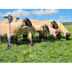 TitanNet Premium AKO Blauw / oranje