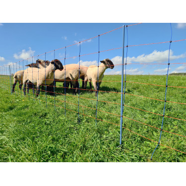 TitanNet Premium AKO Blauw / oranje