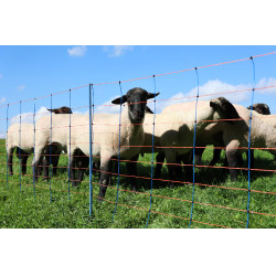 TitanNet Premium AKO Blauw / oranje