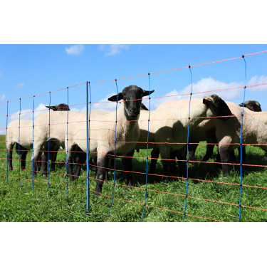 TitanNet Premium AKO Blauw / oranje