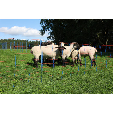 TitanNet Premium AKO Blauw / oranje