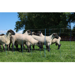 TitanNet Premium Plus AKO Bleu / blanc