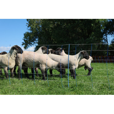 TitanNet Premium Plus AKO Bleu / blanc