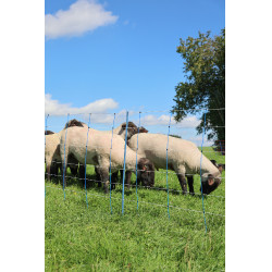 TitanNet Premium Plus AKO Bleu / blanc