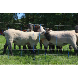 TitanNet Premium Plus AKO Bleu / blanc