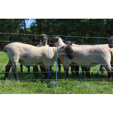 TitanNet Premium Plus AKO Bleu / blanc