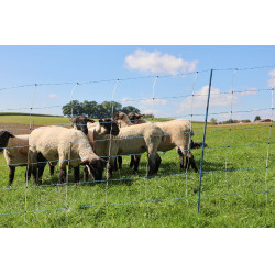 TitanNet Premium Vario AKO Blanc / bleu TitanNet Premium Vario AKO Blanc / bleu