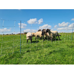 TitanNet Premium Vario AKO Blanc / bleu TitanNet Premium Vario AKO Blanc / bleu