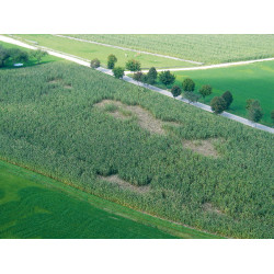 WildNet AKO Blanc / bleu WildNet AKO Blanc / bleu