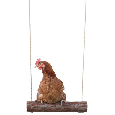 Balançoire à poules Kerbl Hobbyfarming Balançoire à poules Kerbl Hobbyfarming