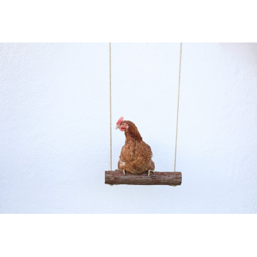 Balançoire à poules Kerbl Hobbyfarming Balançoire à poules Kerbl Hobbyfarming