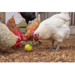 Snackbal Kerbl Hobbyfarming Geel