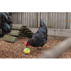 Snackbal Kerbl Hobbyfarming Geel