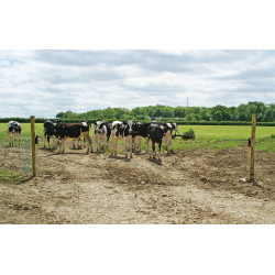 Barre de rechange Electro Gate AKO Noir