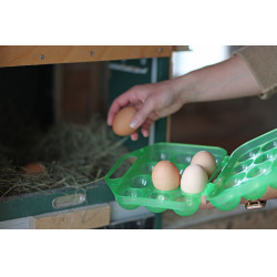 Transportdoos voor eieren Kerbl Hobbyfarming Groen transparant