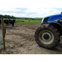 Vervangscharnier Electro Gate Kerbl Zwart / geel Vervangscharnier Electro Gate Kerbl Zwart / geel