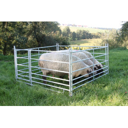 Claies amovibles Kerbl moutons