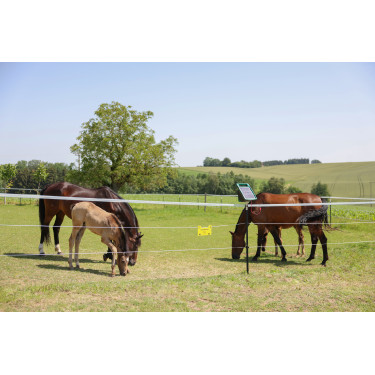 PlatinumLine AKO afrasteringskoord Wit / blauw