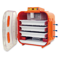 Couveuse Covatutto 162 digital Kerbl Hobbyfarming Orange Couveuse Covatutto 162 digital Kerbl Hobbyfarming Orange